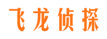 海兴市调查公司